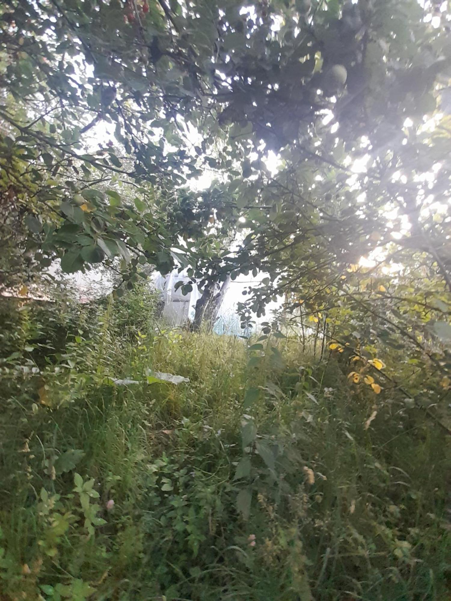 Waterfall In The Yard Karakol Exteriér fotografie
